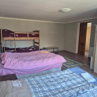 The white house Kazbegi - 4