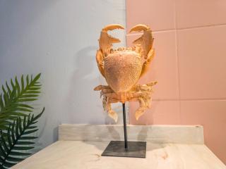 Coralsbest appartement met zwembad - 5