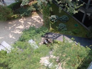 Bosco Dream Neptun-Olimp - 7