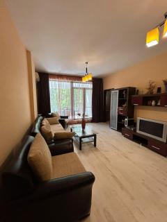 Bosco Dream Neptun-Olimp - 2