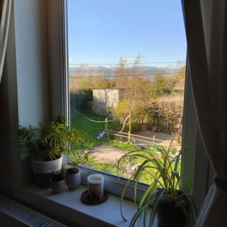 Cozy Peaceful Homestay - 3