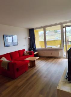 Apartment Harzzauber mit Schwimmbad - 0