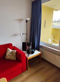 Apartment Harzzauber mit Schwimmbad - 2