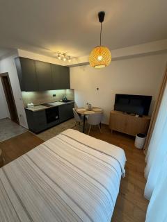Aria studio apartman Kragujevac - 7