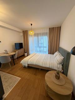 Aria studio apartman Kragujevac - 1