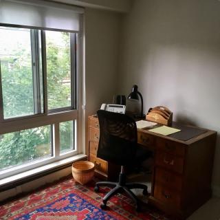 Harvard Square Home in Heart of Cambridge - 7
