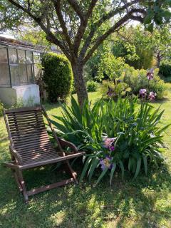 Cocon du jardin - 1