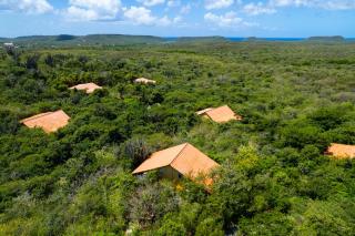 two bedroom Tropical Hideaway - The green flamingo - 2