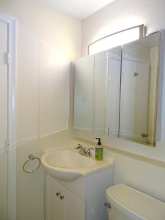 Spacious Studio Near Harvard Sq - 5