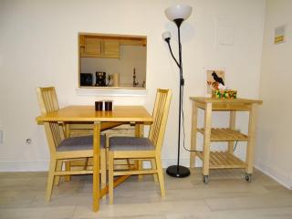 Spacious Studio Near Harvard Sq - 2