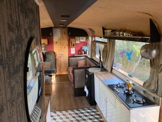 Le Bus de la Forêt - 3