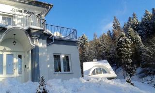 Leśna Polana- blisko centrum, Mini Spa, cicha, spokojna okolica, parking gratis - Krynica Zdrój - 9