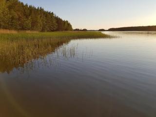 Lovely summer paradise by the sea - 2