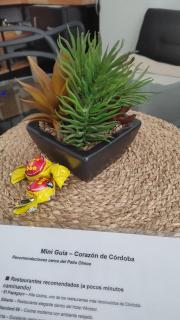 Corazon de Córdoba frente al Patio Olmos - 3