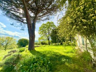 Podere Il Cellaino - 8