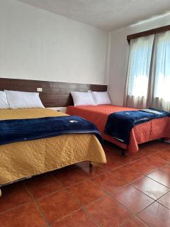Casa Alicia Hostal Antigua Guatemala - 5