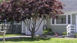 Centrally Located, Outdoor Dinning and Game Table - 6