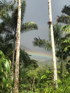 Cabaña El Palmeral, Oxapampa - 8