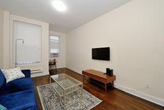 The York Vibe 8657 - 8