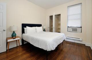 The York Vibe 8657 - 1