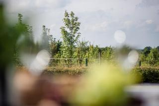 FeWo Sanfte Brise im EG mit Blick in die Natur - 9