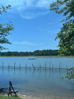 La mangrove braffédon - 7