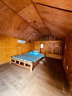 La mangrove braffédon - 6