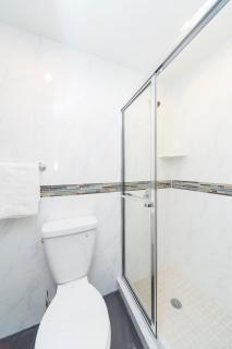 The Ideal V Vibe 8564 - 1