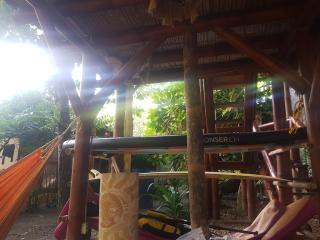 Bongosurfcamp - 3