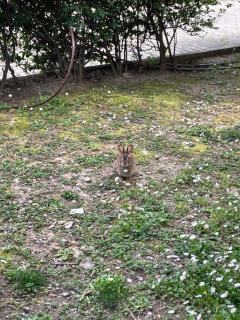 Magie Milano Tortona District-Navigli - 9