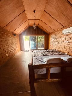 La mangrove braffédon - 5