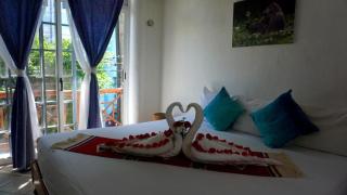 Selva y Mar - 2