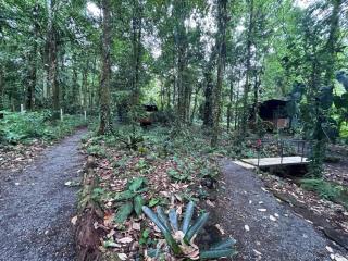 Cabañas Pilones - 4