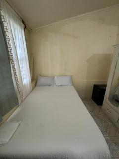 Froggy room - 3