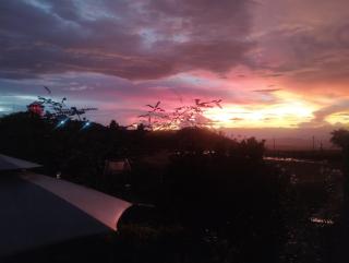 Yerbabuena Guest House Filandia - 6