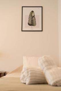 Refugio Urbano en Jujuy, Departamento Amplio, Luminoso y Céntrico - 5