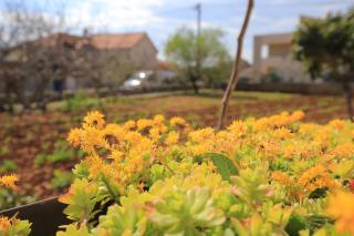 Apartments with parking space Vrsine, Trogir - 25327 - 2