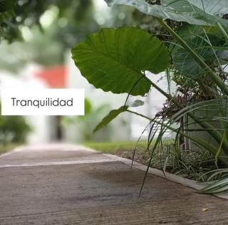 El DESCANSO HOSPEDAJE - 8