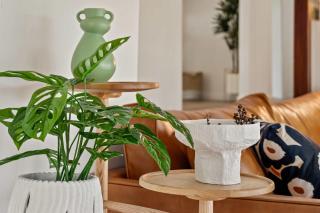 Palms Cottage A Pet-Friendly Eumundi Retreat - 4