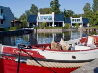 Spacious Villa in Loosdrecht with Terrace - 1