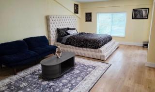 Luxury 3BR Family Home in the Heart of Houston - 5