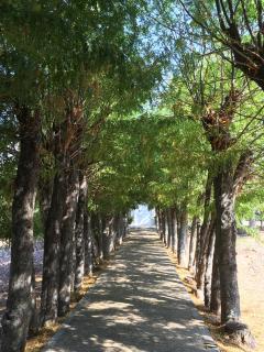 Villa Merenciana - 1