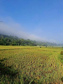 Paddygram stay - 1