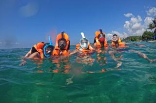 The RidgeColonial Villa - 10 min walk to Beach - 5