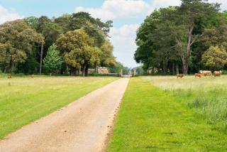 1 Bed in Wells-next-the-Sea oc-2298 - 1