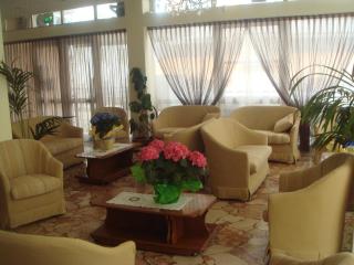 Hotel Arcade - Rímini - 1