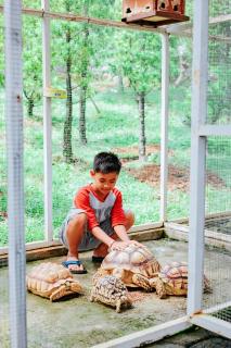 Griya Yodesiya Resort Semarang - 4