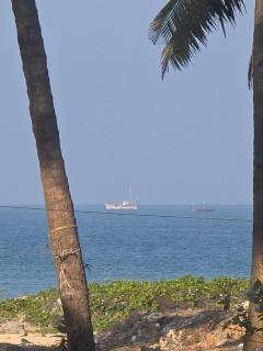 Ocean Mist Beach Homestay - 5