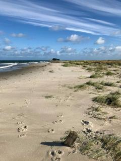 Summer House Where Kattegat And Isefjord Meet - 7