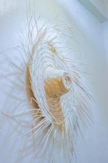The Palm Surfhouse - 3